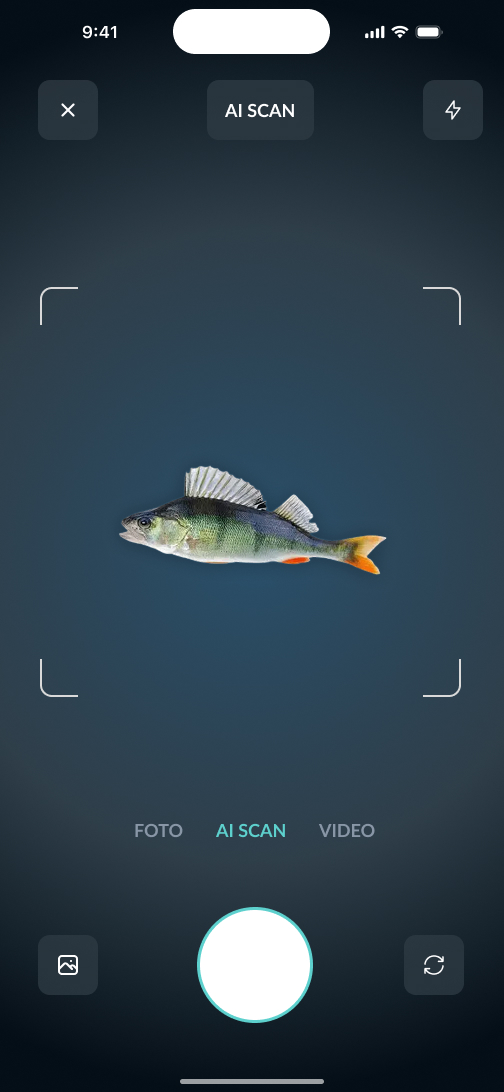 Only Fish