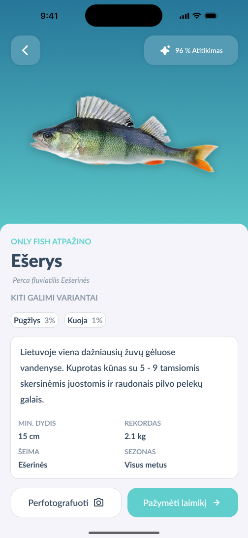 Only Fish